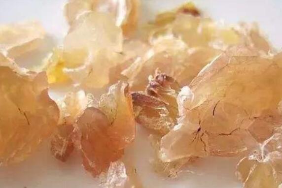 雪蛤哪些人不能吃 雪蛤的不良反应和忌讳