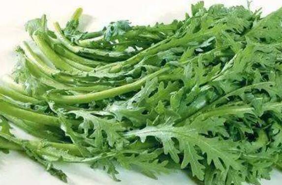 女人吃茼蒿菜的益处与弊端