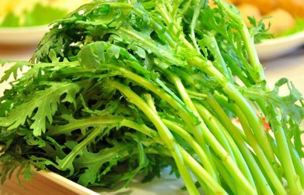 女人吃茼蒿菜的益处与弊端