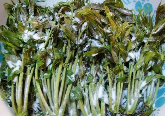 香椿芽的腌渍和储存方式