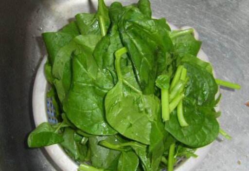 哪些群体不能吃木耳菜 木耳菜的忌讳群体
