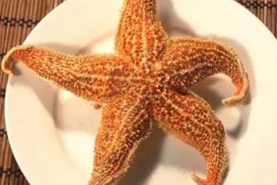 海星的功效与作用 海螺的吃法