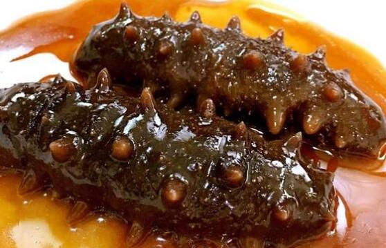 红海参的功效与作用 红海参的吃法