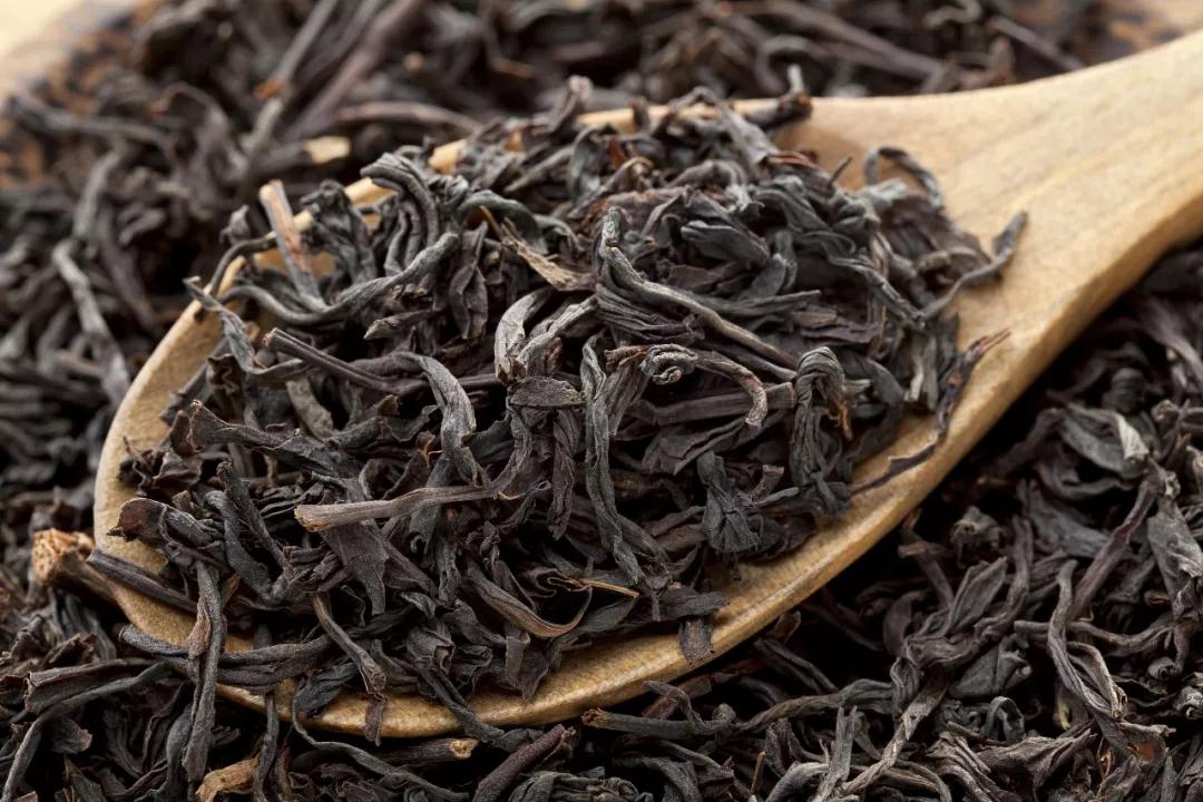 年轻人,饮用茶