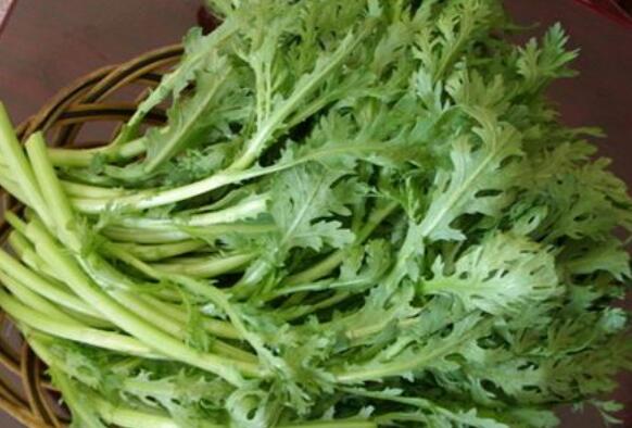 吃茼蒿菜的益处有什么 吃茼蒿菜的伤害