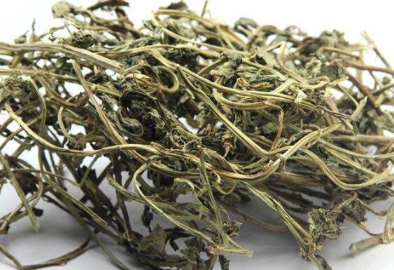 百里香泡药酒的作用与功效