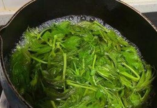 老香椿叶泡水喝的攻效