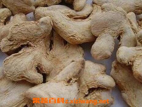 炮姜配附子的功效与作用