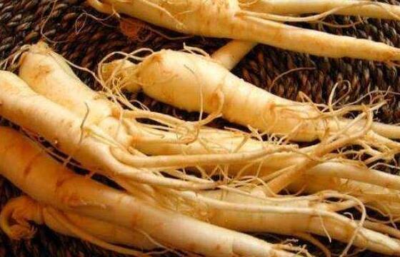 吃什么食物增加抵抗力 能提高免疫力食材强烈推荐