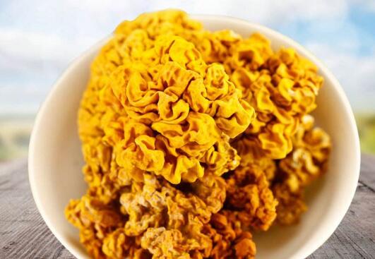金木耳的功效与作用 金木耳怎么做美味