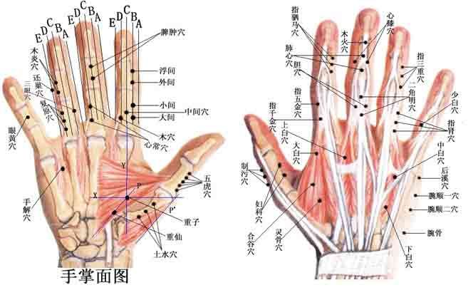 通经络,通经络方法