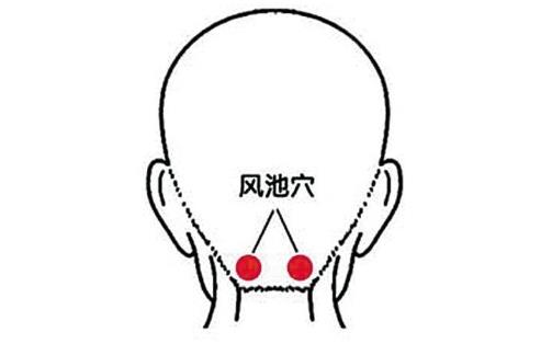 保健养生穴位