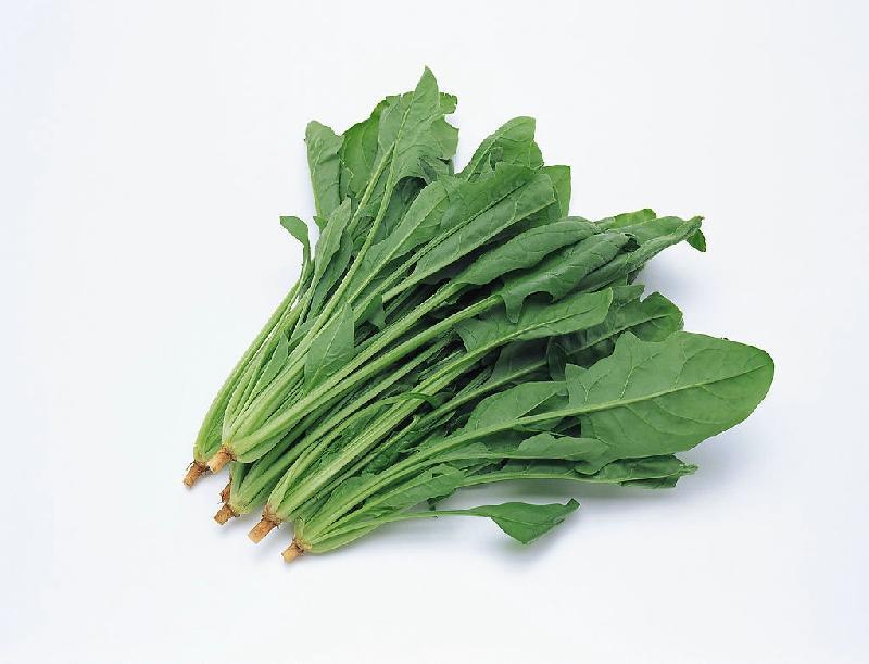食品,效果