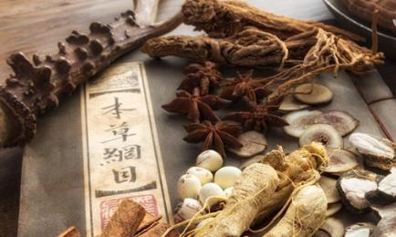 什么药调理肾虚