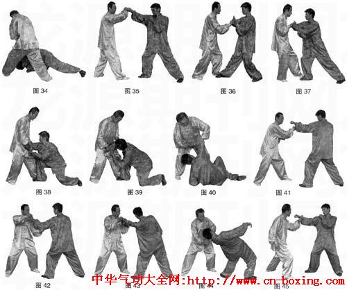 武术散推手中拿法类常用技法例解