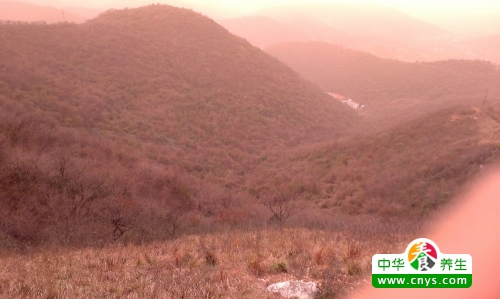登山对人体好么 常常登山健身运动的7大好处