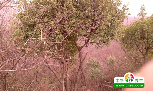 登山对人体好么 常常登山健身运动的7大好处