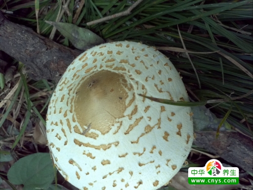登山对人体好么 常常登山健身运动的7大好处