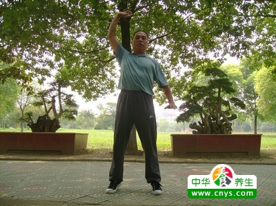 八段锦养生气功操 新手必读