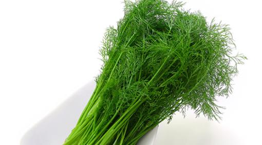 茴香菜怎么吃