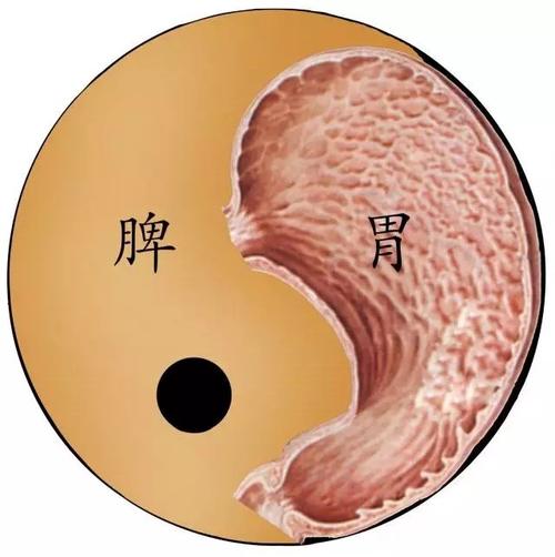 脾胃虚寒