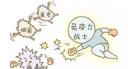 免疫力提升,增强免疫力